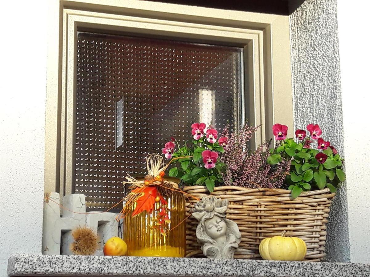 Ferienwohnung Am Gaesschen Scheiden 외부 사진